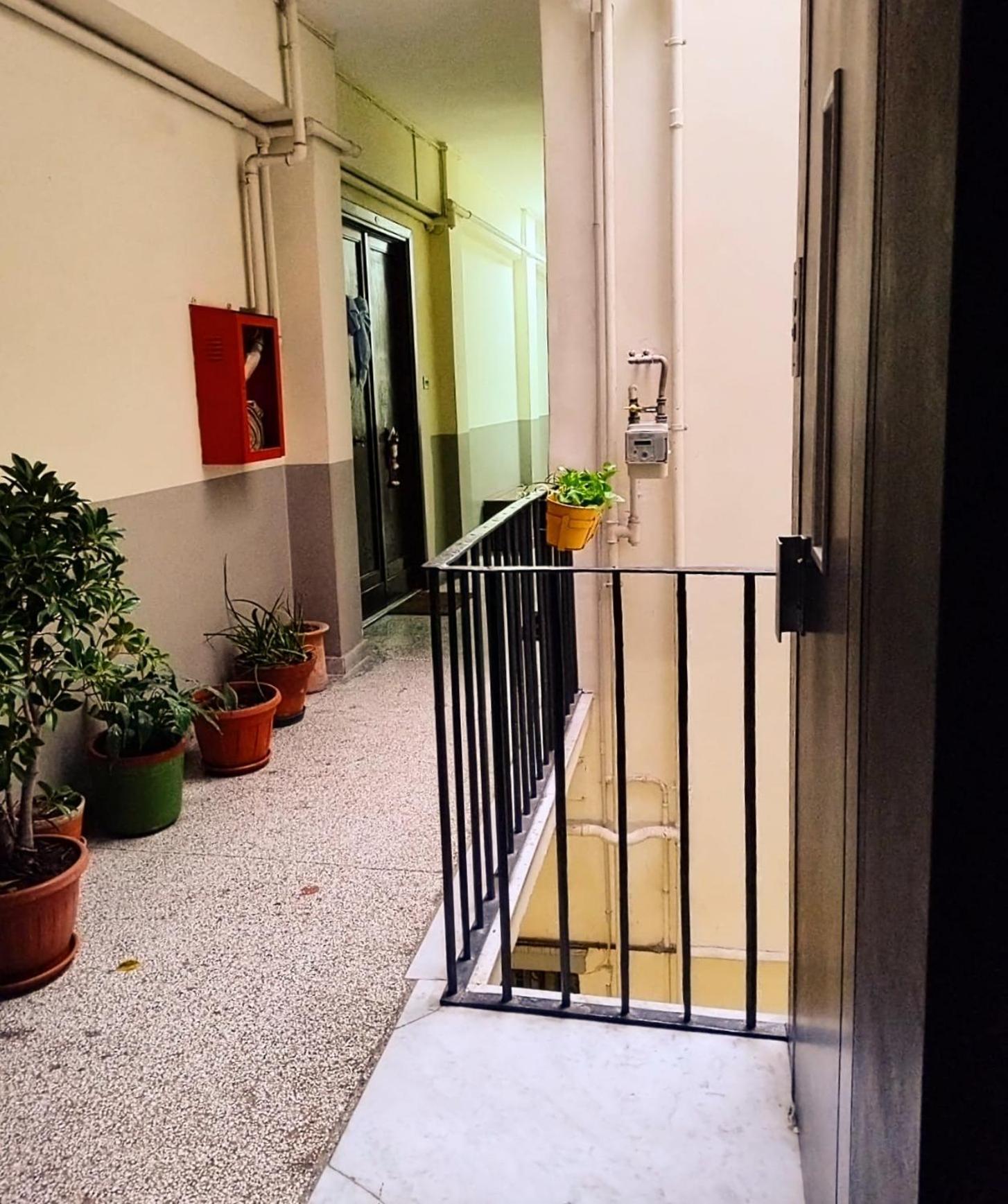 Apartment Belvedere